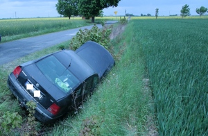 auto w rowie