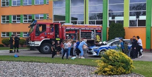 uczestnicy pikników