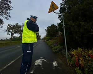 policjanci na drodze
