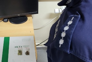 zabezpieczone narkotyki