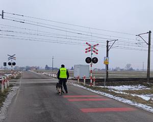 mundurowi na patrolu