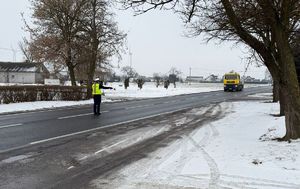 policjanci podczas kontroli