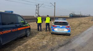 funkcjonariusze na patrolu