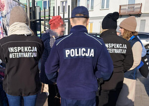 służby na targowiskach