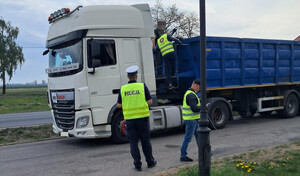 policjanci i inspektorzy kontrolują auto