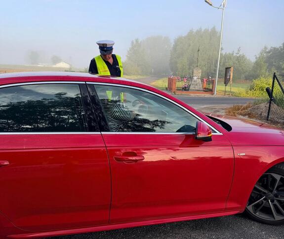 policjanci kontrolują auta